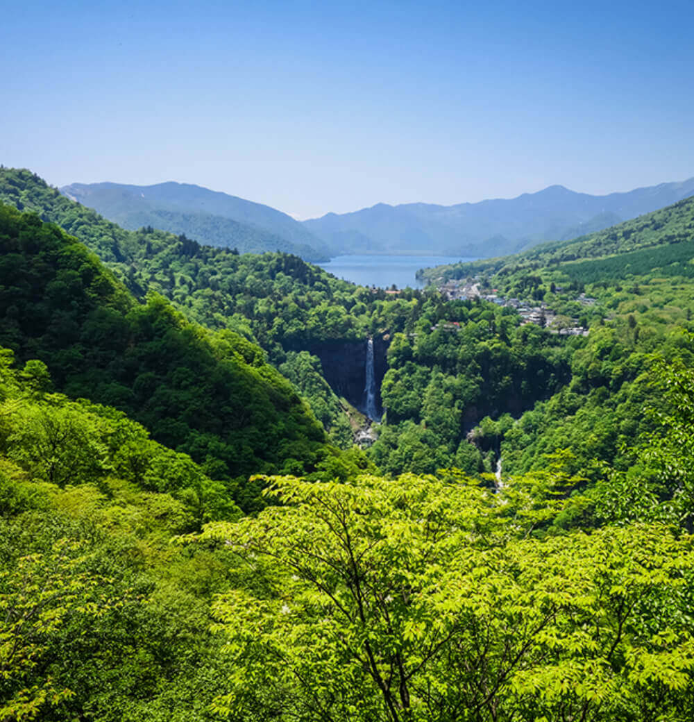 天然木についてのこだわり