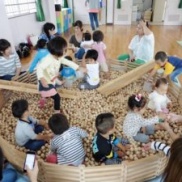 木育ひろめ隊行ってきました!