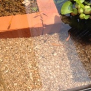 ハマっています!