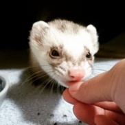 皆様はじめまして(*^_^*)