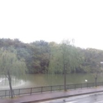 木育ひろめ隊 in 望海コミュニティ