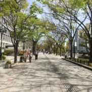 桜、間に合いました!!