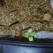 晴れた休日は山登り!