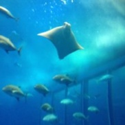 モデルハウス見学&販売会開催中!