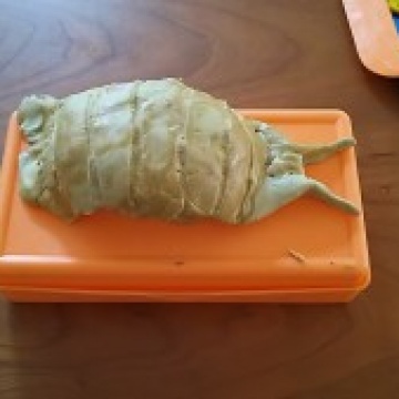 息子の粘土作品!