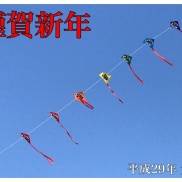 謹んで初春のお慶びを申し上げます。