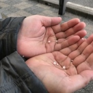 明石でも雪が降ってきました!