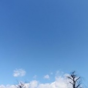 本日のイクリア☆