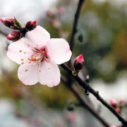 クロス屋さんの仕事は大変!