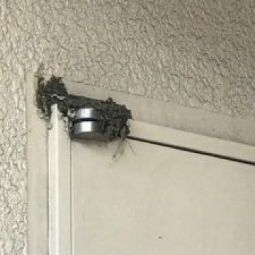 『第3回イクリアマルシェ』を開催いたしました!!