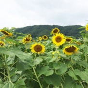 この3連休は『大久保モデルハウス』にて見学会を開催しています♪