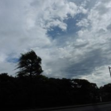 台風( ;´Д`)
