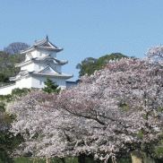 家計簿見直しセミナー開催します!!