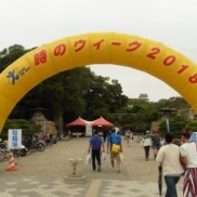 本日のイクリア