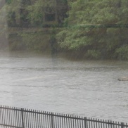 ■本日のイクリア■