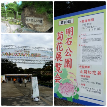 ■第90回菊花展&第40回農林漁業祭～兵庫県立明石公園～■