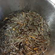 ■2019年3月5日 いかなご新子解禁日♪■