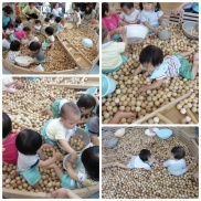 ■木育ひろめ隊 ~ みつばこども園~■