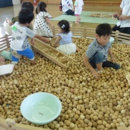 ☆★木育ひろめ隊@子育て学習室★☆