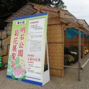 ■第91回明石公園菊花展覧会■