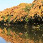 🍂お誕生日🍂