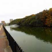 ■本日のイクリア■