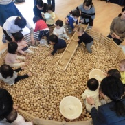 ■木育ひろめ隊 ~海の風こども園~■