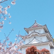 🌸明石モデル 進捗状況🌸