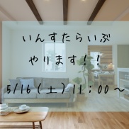 ■告知!!本日11:00~インスタライブやります■