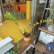 ■本日のイクリア■