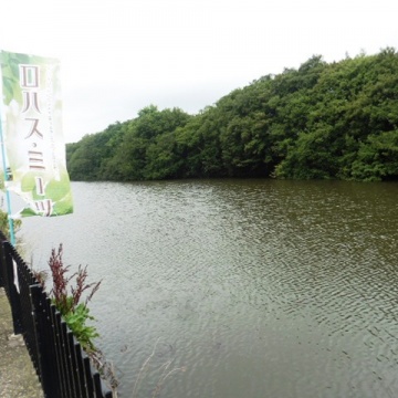 ■ロハスミーツ明石2020■