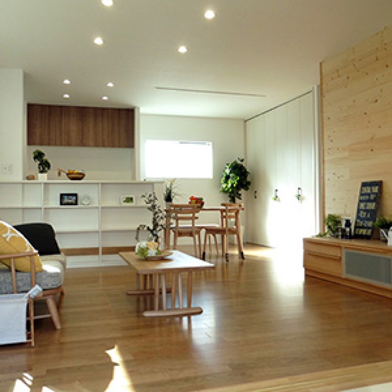 Natural country house