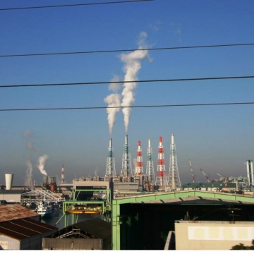 そのまま育っておくれ。