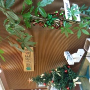 ■クリスマスツリー■