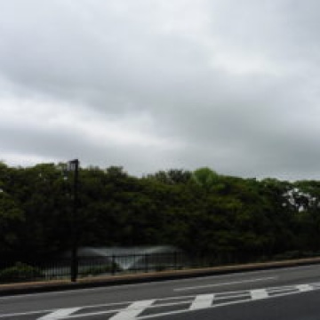 ◆ジメジメしてますね☔◆