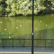 ■イクリア通信■