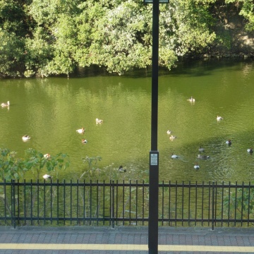 ■イクリア通信■