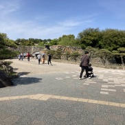 母の日