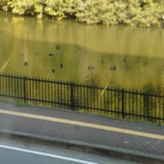 ■新築戸建☆販売情報~明石市松江~■