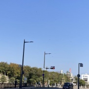 お外からパワー🐤