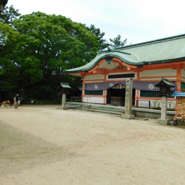 あじさいが見ごろです!