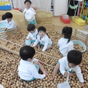 木育活動報告🌳