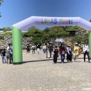 ロハツミーツ開催🎈