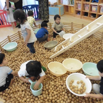 木育ひろめ隊