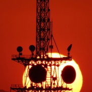 夕焼けパンダ🐼