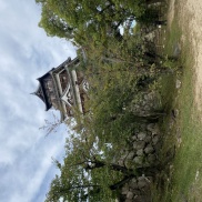 旅行のシーズンがやってきました♪