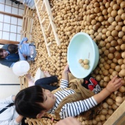 ☆木育ひろめ隊☆