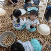 木育ひろめ隊(^^)/