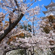 暖かい春は目前!?