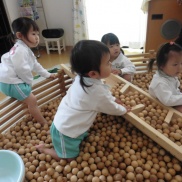 木育ご参加ありがとうございます♪